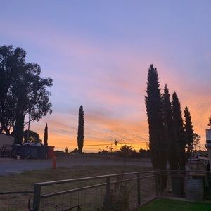 Meet your Posher, Cassidy